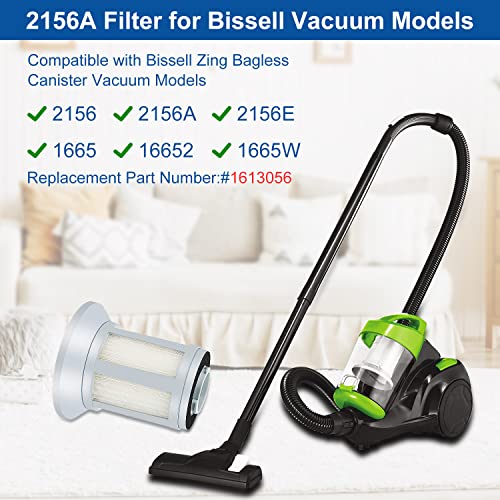 Filter Replacement Compatible with Bissell 2156, 2156A, 1665, 16652, 1665W Zing Canister Vacuum Cleaner, Replace Part 1613056, 2PCs 2156A Filter + 4 Post Motor (2PCS)