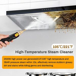 2500W High Pressure Steam Cleaner, Handheld Steam Cleaner Machine with 6 Brush Heads High Temperature Fast Heating Steamer Cleaners for Home Use, Car Detailing, Kitchen, Bathroom, Furniture,Etc.