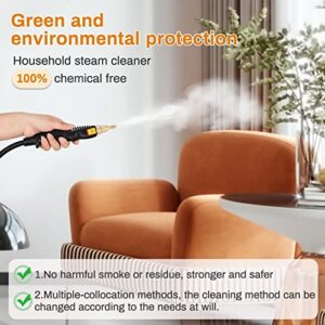 2500W High Pressure Steam Cleaner, Handheld Steam Cleaner Machine with 6 Brush Heads High Temperature Fast Heating Steamer Cleaners for Home Use, Car Detailing, Kitchen, Bathroom, Furniture,Etc.