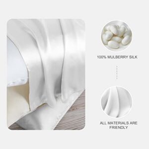 100% Mulberry Silk Pillowcase for Hair and Skin, Queen Size Silk Pillow Case 2 Pack with Hidden Zipper, 20x30, Set of 2, White