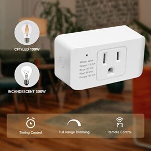 Indoor Dimmer for String Lights, Remote Control Light Dimmer Plug in, Light Timer for Led Lights, 2 and 3 Prong Adapter, Wireless 100FT Range for Dimmable LED/Tungsten Bulb/Patio Lights/Table Lamp