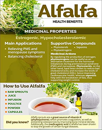 Dalal Alfalfa Grass Powder - 200 GM