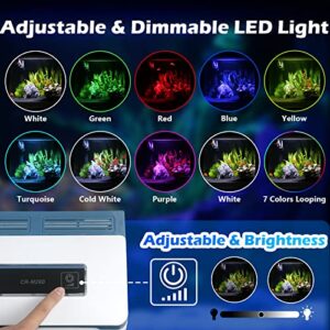 Small Fish Tank 2 Gallon Glass Aquarium Starter Kits Self Cleaning w/Colorful LED Light for Betta Shrimp Guppy Jellyfish Goldfish Beta,Room Decor Desktop, Gifts