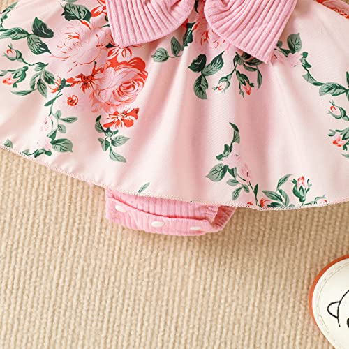 Mubineo Baby Girl Summer Clothes Outfits Sleeveless Lace Floral Romper Dress Newborn Outfit (Pink, 3-6 Months)