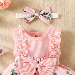 Mubineo Baby Girl Summer Clothes Outfits Sleeveless Lace Floral Romper Dress Newborn Outfit (Pink, 3-6 Months)