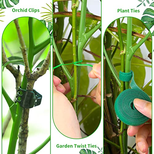 ROADPLUM 4 Pack 39.37" Detachable Twig Plant Support Stakes Set, Blends in to Plant, Branch Plant Sticks with Orchid Clips Twist Plant Ties, Twig Trellis for Indoor Outdoor Plants Potted Plants Flower