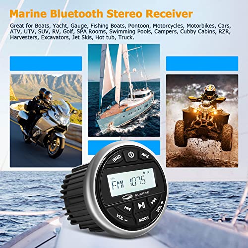 GUZARE Marine Radio Bluetooth Stereo Audio Waterproof Radio Boats FM AM Gauge Stereo Golf Cart Marine Stereo Receiver Audio Systems for RV UTV Yacht