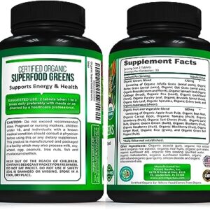 Potent Garden 2-Pack Organic Superfood Greens, Fruit and Veggie Supplement Rich in Vitamins & Antioxidants with Alfalfa, Beet Root & Tart Cherry to Boost Energy, Immunity & Gut Health, 120 Ct