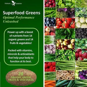 Potent Garden 2-Pack Organic Superfood Greens, Fruit and Veggie Supplement Rich in Vitamins & Antioxidants with Alfalfa, Beet Root & Tart Cherry to Boost Energy, Immunity & Gut Health, 120 Ct