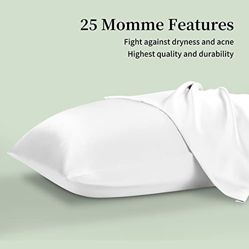 SAKIAO 25 Momme Silk Pillowcase Queen Size for Hair and Skin - Silk Pillow Case Slip - Anti Aging, Acne Free - Mulberry Silk Pillow Covers with Reinforced Zipper (Queen, Off White)