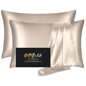 Silk Pillowcase 2 Pack,Mulberry Silk Pillowcases Standard Set of 2,Soft and Smooth,Anti Acne,Beauty Sleep,Both Sides Natural Silk Satin Pillow Cases for Women 2 Pack with Zipper for Gift,Champagne