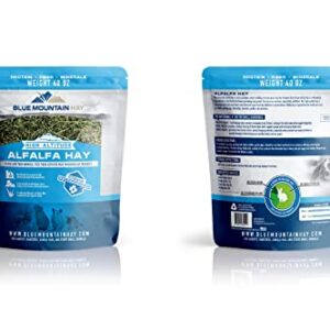 Blue Mountain Hay | 15 oz. Fresh Alfalfa Hay | Available in 15 oz. & 40 oz. Pouches | Nutritious, Delicious Meal Or Snack for Rabbits, Guinea Pigs, Hamsters, Gerbils, Rats, and Other Small Pets