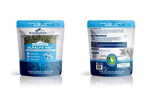 Blue Mountain Hay | 15 oz. Fresh Alfalfa Hay | Available in 15 oz. & 40 oz. Pouches | Nutritious, Delicious Meal Or Snack for Rabbits, Guinea Pigs, Hamsters, Gerbils, Rats, and Other Small Pets