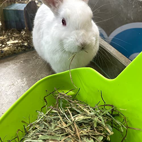 Blue Mountain Hay | 15 oz. Fresh Alfalfa Hay | Available in 15 oz. & 40 oz. Pouches | Nutritious, Delicious Meal Or Snack for Rabbits, Guinea Pigs, Hamsters, Gerbils, Rats, and Other Small Pets