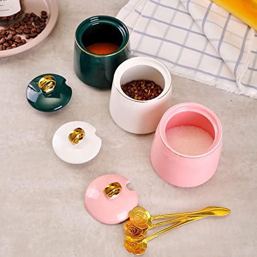 WHJY Ceramic Sugar Bowl with Lid and Spoon, Simple White Clear Porcelain Salt Bowl Salt Container, Modern Spice Box Seasoning Jar for Home and Kitchen Coffee Bar - Pink