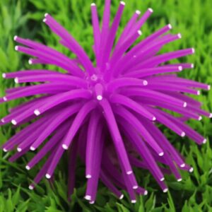 Artificial Sea Anemone Ornaments Silicone Aquarium Fish Tank Decorations Artificial Coral Plant Underwater Decor(Purple)