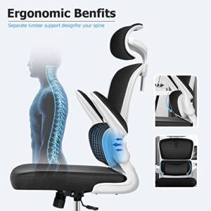 Razzor Ergonomic Office Chair, High Back Mesh Desk Chair with Lumbar Support and Adjustable Headrest, Computer Gaming Chair, Executive Swivel Chair for Home Office