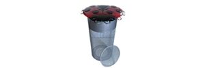 eden's circles ladybug in-ground worm composter (galvanized metal, black/red)
