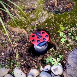 Eden's Circles Ladybug In-Ground Worm Composter (Galvanized Metal, Black/Red)