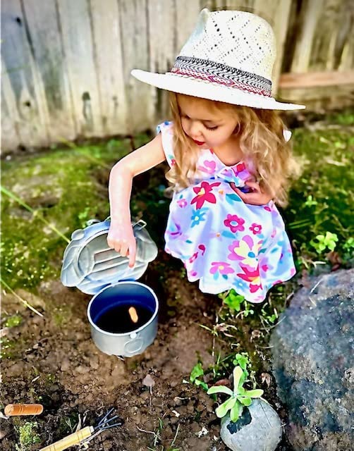 Eden's Circles Ladybug In-Ground Worm Composter (Galvanized Metal, Black/Red)