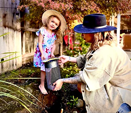 Eden's Circles Ladybug In-Ground Worm Composter (Galvanized Metal, Black/Red)