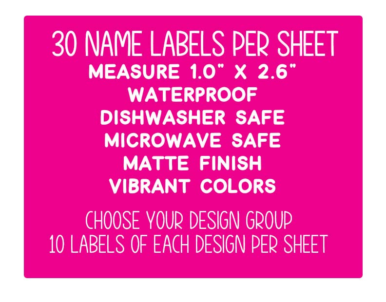 Boy Name Labels (30 Count) for Daycare, School Supplies and Camp. Waterproof DIshwasher Safe Personalized Stickers for Kids in Vide Gamer Theme