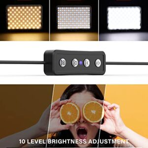 2 Pack LED Video Photography Lighting Kit with 62.99'' Tripod Stand, Unicucp 2500-8500K Dimmable Studio Streaming Light for Video Recording Filming, Live Game YouTube, Portrait Shooting, USB Charger