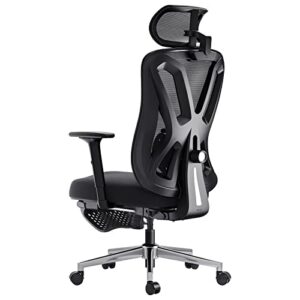 Hbada Ergonomic Office Chair, Desk Chair with Adjustable Lumbar Support and Height, Comfortable Mesh Computer Chair with Footrest 2D Headrest, Swivel Tilt Function Black