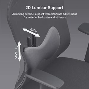 Hbada Ergonomic Office Chair, Desk Chair with Adjustable Lumbar Support and Height, Comfortable Mesh Computer Chair with Footrest 2D Headrest, Swivel Tilt Function Black