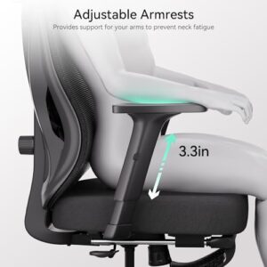 Hbada Ergonomic Office Chair, Desk Chair with Adjustable Lumbar Support and Height, Comfortable Mesh Computer Chair with Footrest 2D Headrest, Swivel Tilt Function Black