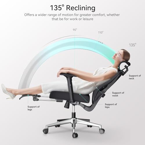 Hbada Ergonomic Office Chair, Desk Chair with Adjustable Lumbar Support and Height, Comfortable Mesh Computer Chair with Footrest 2D Headrest, Swivel Tilt Function Black