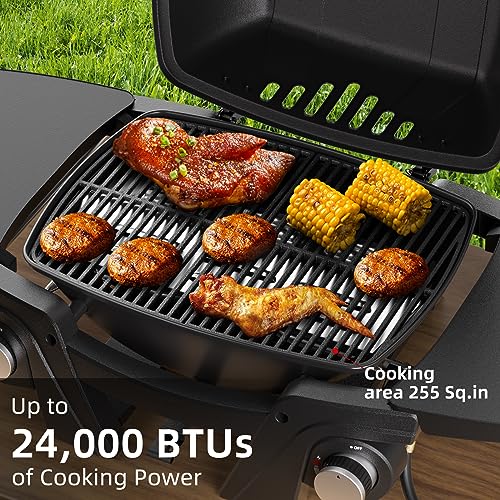 Barpecyou Portable Gas Grill, 2-Burner Small BBQ Propane Grills Tabletop Gas Grill Outdoor Camping Grill 24000 BTU, Detachable Side Tables,Built in Thermometer, Black