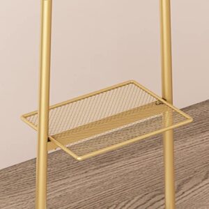 Gold Clothing Rack, Modern Clothing Rack with Shelf, Standing Coat Rack, 2-in-1 Garment Rack