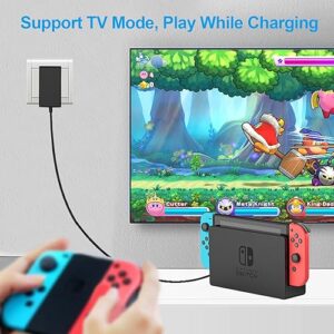 Fast Charger for Nintendo Switch, USB C Type C Power Adapter Compatible with Nintendo Switch/Switch Lite/Switch OLED/Switch Dock, 15V/2.6A Supports TV Mode and Dock Station