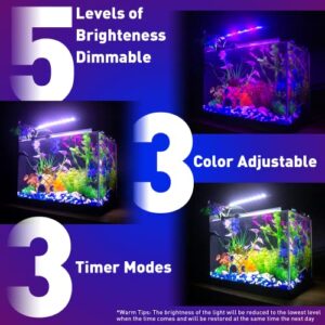 5 Gallon Fish Tank Glass Small Aquarium Starter Kits Self Cleaning with LED Light & Filter for Betta Shrimp Guppy Jellyfish Goldfish Beta,Room Decor Desktop, Gifts