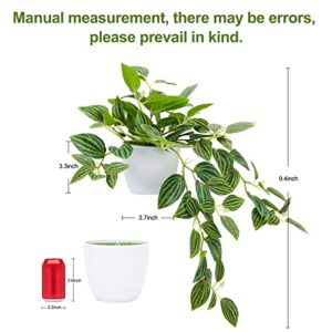 CEWOR Faux Plants Indoor,2 Pack,Realistic Artificial Hanging Plants,Fake Potted Plants,Faux Peperomia Watermelon Plants,Wall House Room Patio Indoor Outdoor Decor