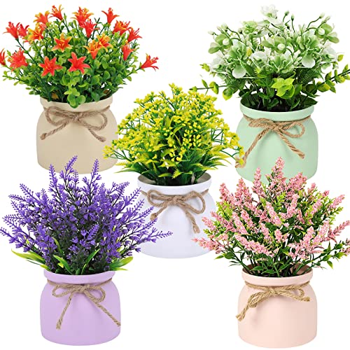 CEWOR Small Fake Plants - 5 Pack Artificial Potted Flowers Faux Greenery Plants, Eucalyptus Boxwood Lavender in Plastic Macaron Pots Bonsai for Home Office Shelf Desktop Indoor Outdoor Wedding Decor