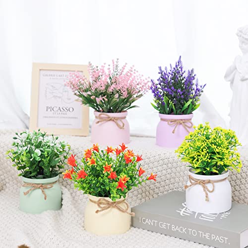 CEWOR Small Fake Plants - 5 Pack Artificial Potted Flowers Faux Greenery Plants, Eucalyptus Boxwood Lavender in Plastic Macaron Pots Bonsai for Home Office Shelf Desktop Indoor Outdoor Wedding Decor