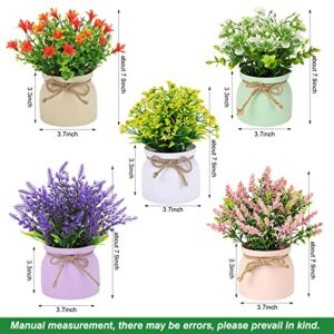 CEWOR Small Fake Plants - 5 Pack Artificial Potted Flowers Faux Greenery Plants, Eucalyptus Boxwood Lavender in Plastic Macaron Pots Bonsai for Home Office Shelf Desktop Indoor Outdoor Wedding Decor