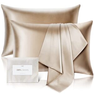 100% mulberry silk pillowcase for hair and skin set of 2,allergen resistant dual sides,600 thread count silk bed pillow cases with hidden zipper,2pcs,(standard size,taupe)