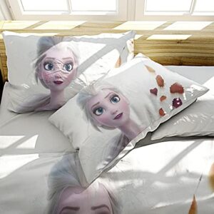 AKARDO Elsa Ice Princess Queen Anime Duvet Covers Soft Microfiber Washed Duvet Cover Set 3 Pieces with Zipper Closure,Beding Set (01,Twin (68"x86"))