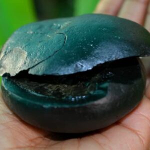 Vishnu Shaligram,2.5"X2.25"Inch Mahavishnu Shaligram, Shaligram Shila, Gandaki River Nepal, Shaligram Stone, Religious Gift, Shaligram from Nepal-I-6052