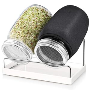 rayple sprouting jar kit, 2 wide mouth mason jars, premium stainless steel screen sprout lids, blackout sleeves, tray, stand, sprouting kit for growing broccoli,alfalfa,mung bean