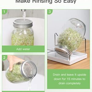 RAYPLE Sprouting Jar Kit, 2 Wide Mouth Mason Jars, Premium Stainless Steel Screen Sprout Lids, Blackout Sleeves, Tray, Stand, Sprouting Kit for Growing Broccoli,Alfalfa,Mung Bean