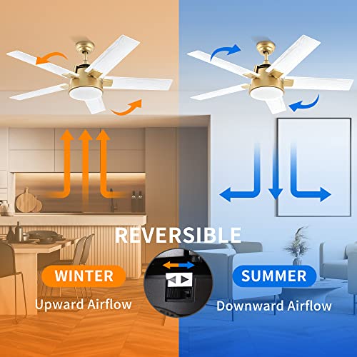 YITAHOME Ceiling Fan with Light and Wall Switch Remote, 52 Inch Modern Gold White Fan, Quiet Reversible Motor, Dimmable LED Color, Memory Function for Bedroom Living Room Patio Indoor Outdoor