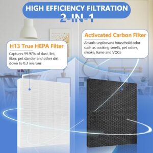 116130 Filter H Replacement for Winix 5500-2 and AM80 Air Puri-fier, Two Year Combo Include 2 Pack H13 True HEPA Filter and 2 Pack Activated Carbon Odor Filter