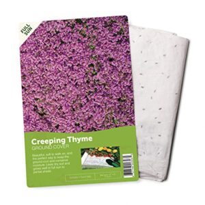 bloomingbulb seed mat - easy to plant and grow garden seeds - creates fragrant, vibrant flower garden – customizable flower beds- creeping thyme ground cover