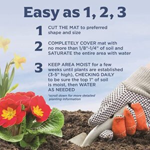 BloomingBulb Seed Mat - Easy to Plant and Grow Garden Seeds - Creates Fragrant, Vibrant Flower Garden – Customizable Flower Beds- Dwarf Dahlia Flower Mat