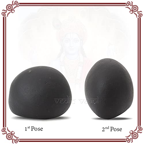 Vedic Vaani Natural Black Stone Tulsi Vivah Vishnu Shaligram Shila for Puja (Pack of 5)