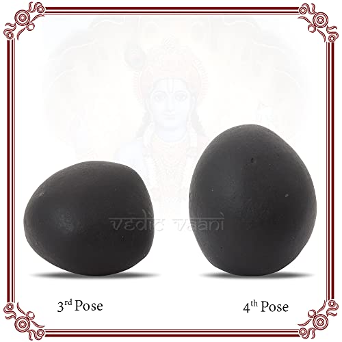 Vedic Vaani Natural Black Stone Tulsi Vivah Vishnu Shaligram Shila for Puja (Pack of 5)